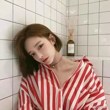 双子镇 封面